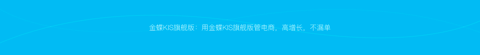金蝶KIS旗舰版